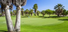 Melia Jardines del Teide