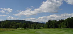 Golfové hřiště s trávou, stromy a oblohou s mraky