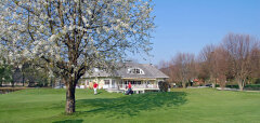 Golfové hřiště s kvetoucím stromem a klubovnou v pozadí