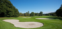Golfové hřiště s pískovými bunkry a stromy v pozadí