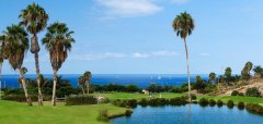 Melia Jardines del Teide