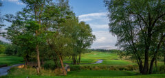 Golfové hřiště s cestou a stromy za slunečného dne