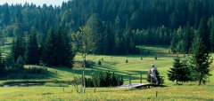 Golfclub Seefeld-Wildmoos