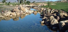 Desert Springs Golf Club