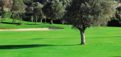 Club de Golf Canyamel