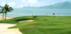 Golfové hřiště u moře s hráči a palmou