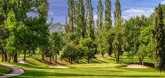 Golfové hřiště s greenem a stromy v pozadí