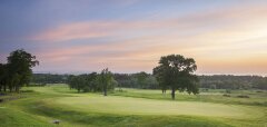 Golfové hřiště s greenem a stromy za soumraku
