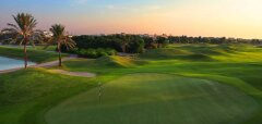 Golfové hřiště s palmami za soumraku v Dubaji