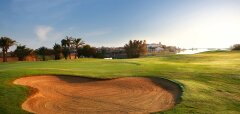 Golfové hřiště s pískovým bunkrem a palmami v pozadí
