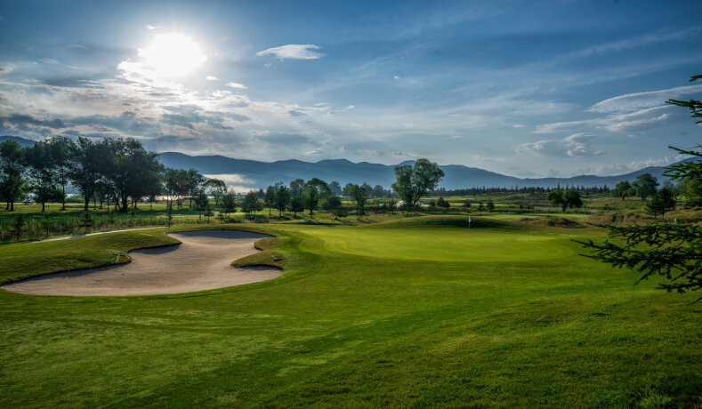 Golfové hřiště s pískovým bunkrem a stromy v pozadí