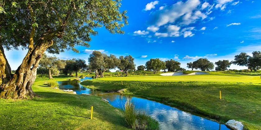 Quinta da Ria/Quinta de Cima