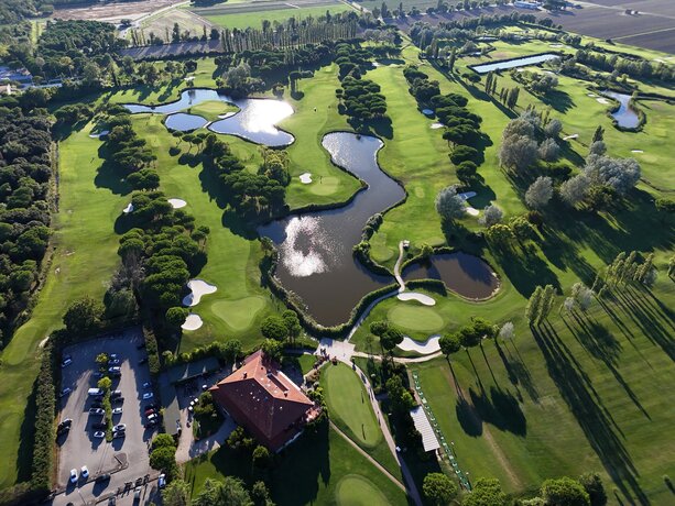 Zelené golfové hřiště s několika stromy a mlhou v pozadí