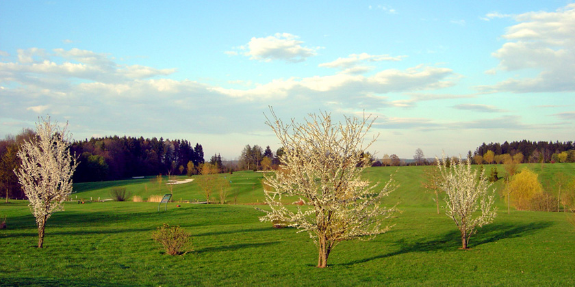 Golfclub Innviertel Gut Kaltenhausen