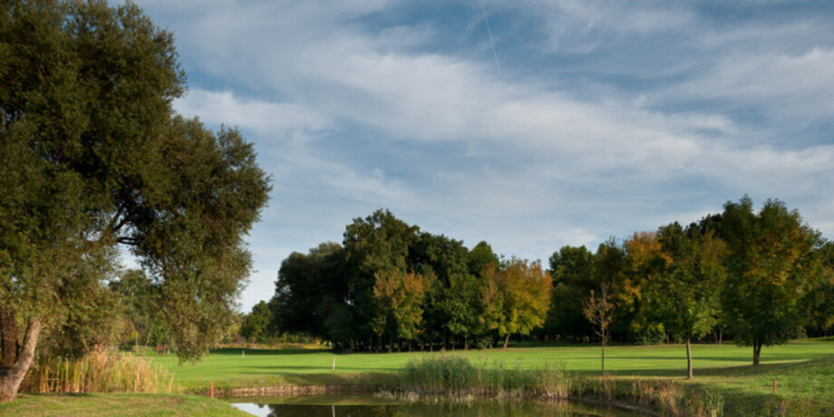 Golfové hřiště s jezírkem a stromy za ním
