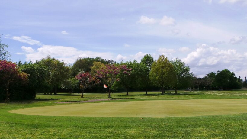 Golfové hřiště s jamkou a stromy na pozadí