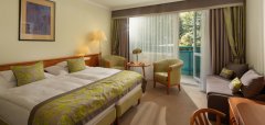 Carbona Hotel
