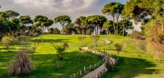 Cornelia Diamond Golf Resort&Spa 7 nocí a 3 green fee